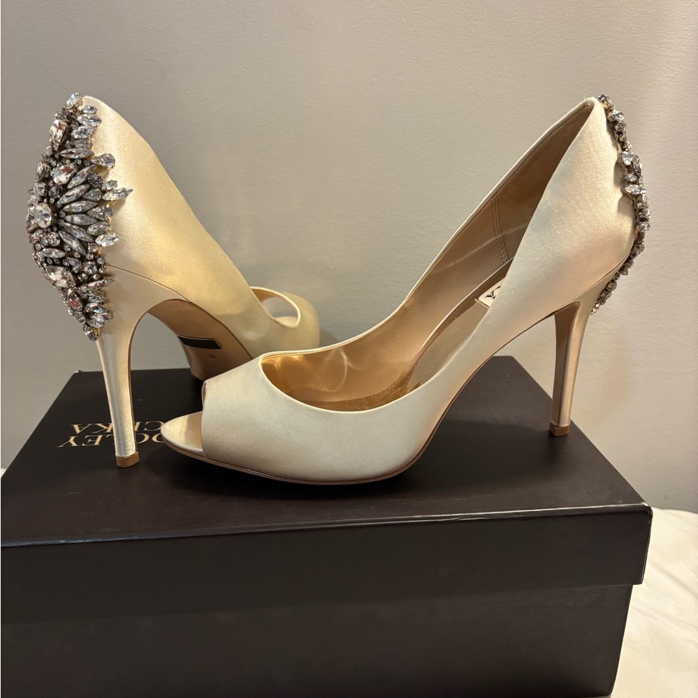 EUC BADGLEY MISCHKA Pumps